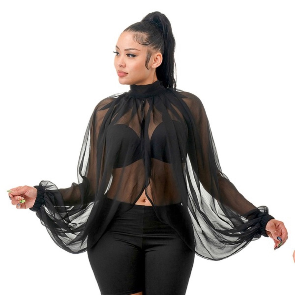 Sheer Sexy Top